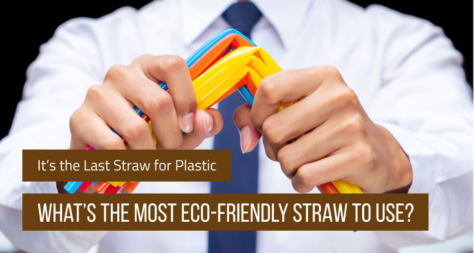 http://rainforestbowls.com/cdn/shop/articles/It_s_the_Last_Straw_for_Plastic__So_What_s_the_Most_Eco-Friendly_Straw_to_Use.jpg?v=1585035972