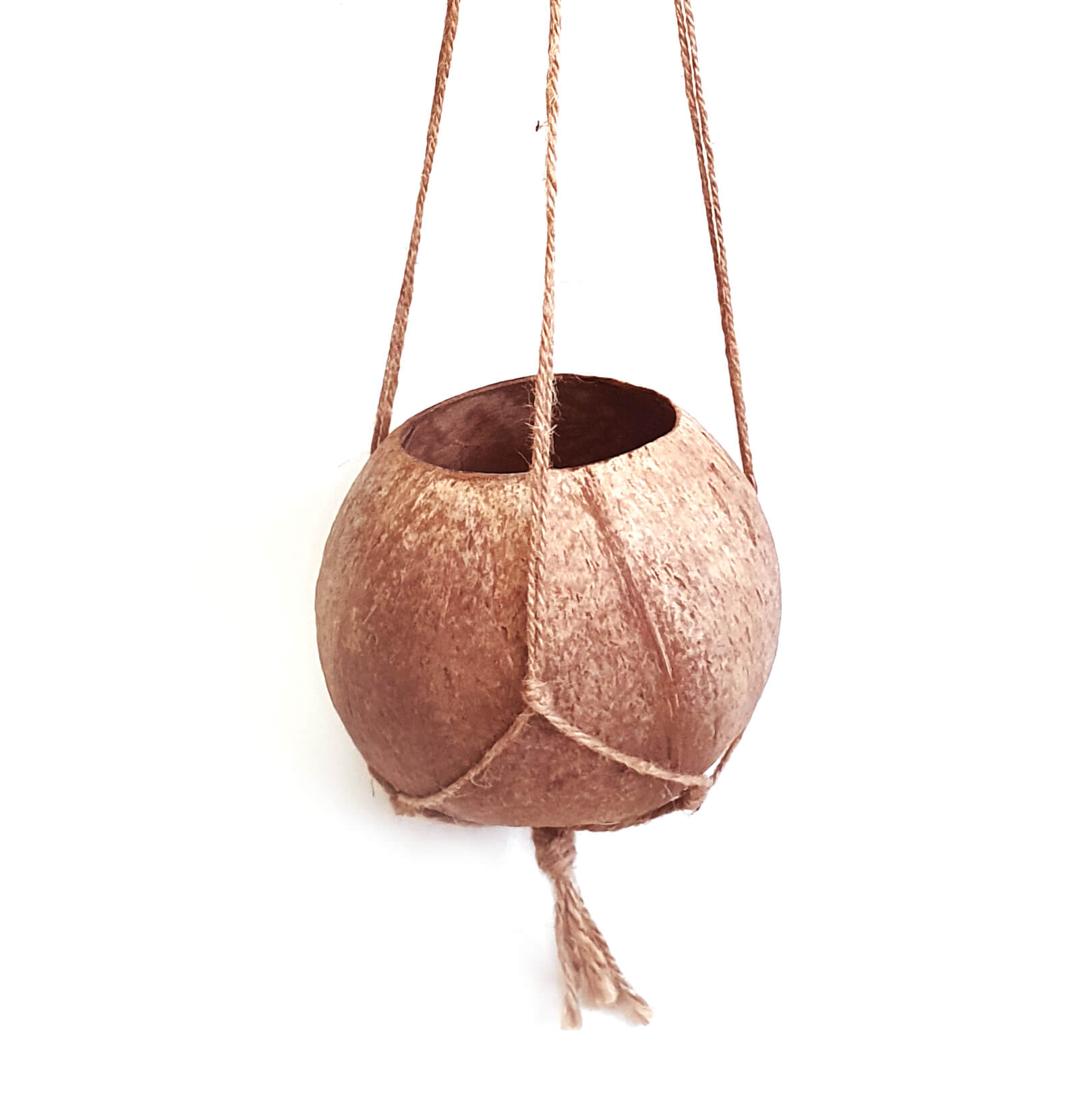 coconut plant pots Rainforest Bowls Hanging Coconut Planter 2-Pack