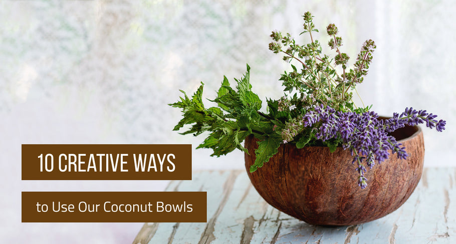 10 Creative Ways to Use Coconut Bowls (Updated 2021)