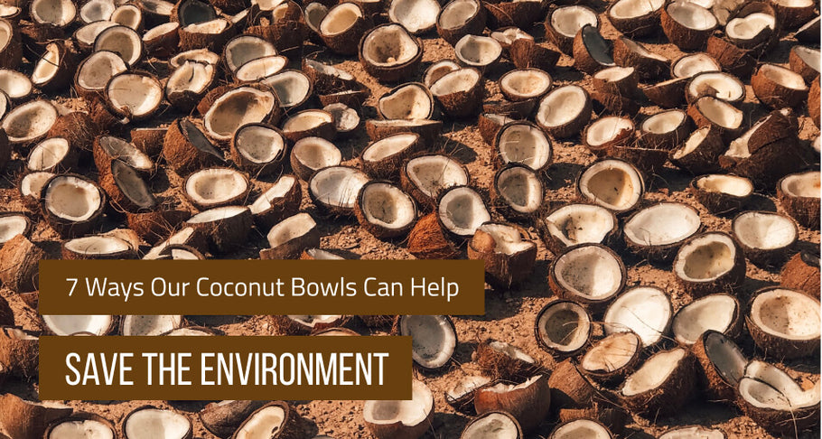 7 Ways Our Coconut Bowls Can Help Save the Environment
