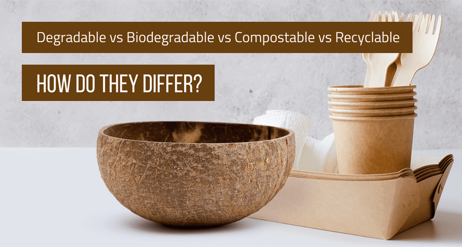 Degradable vs Biodegradable vs Compostable vs Recyclable: How Do They Differ? (Updated 2020)