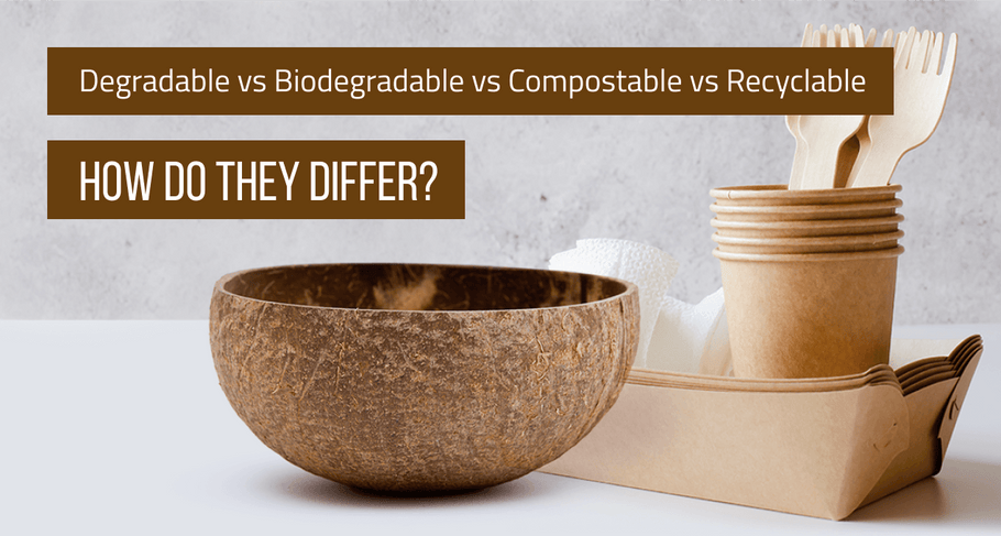 Degradable vs Biodegradable vs Compostable vs Recyclable: How Do They Differ?