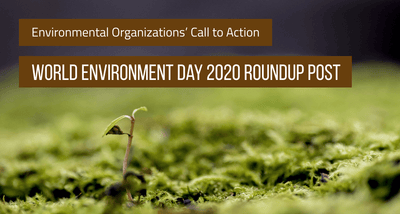 Environmental Organizations’ Call to Action: World Environment Day 2020 Roundup Post