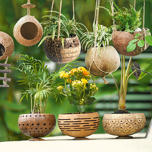 coconut husk hanging planter Hanging Coconut Planter with Ladder