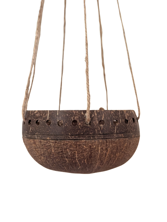 Hanging Two-Tone Punchout Tabletop Natural Coconut Planter