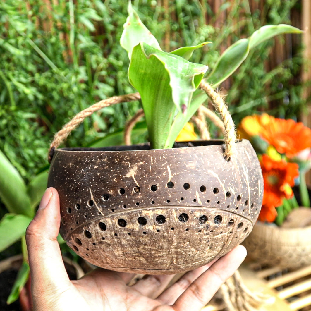 coconut husk plant pots Hanging Two-Tone Coconut Planter