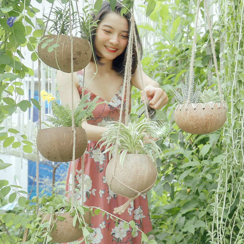 jungalow hanging planter Rainforest Bowls Hanging Coconut Planter 2-Pack