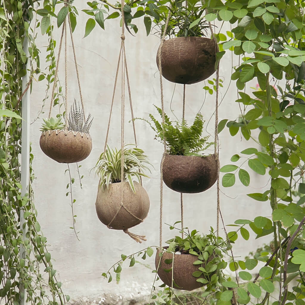 Best pot choice for trailing houseplants: Hanging planters