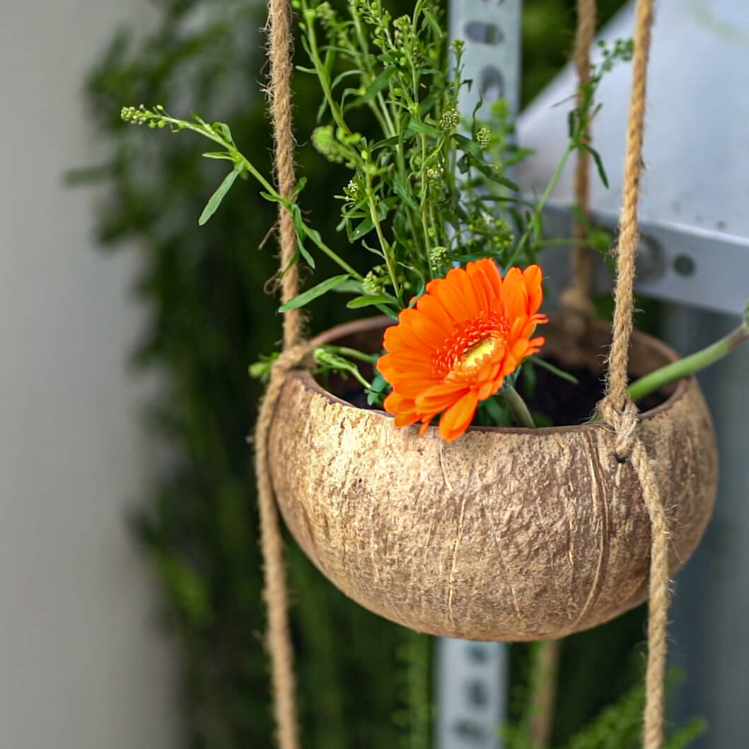 unique hanging planter Rainforest Bowls Hanging Fiber Coconut Planter 2-Pack