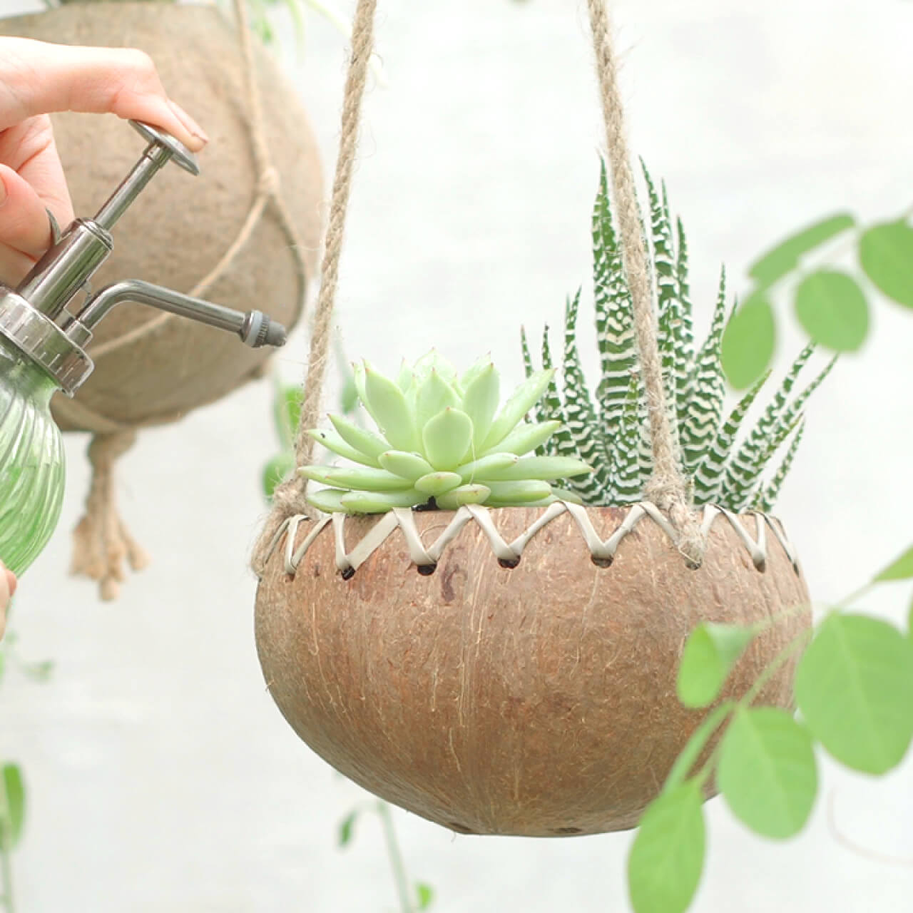 shell hanging plant holder Rainforest Bowls Hanging Fiber Coconut Planter 2-Pack