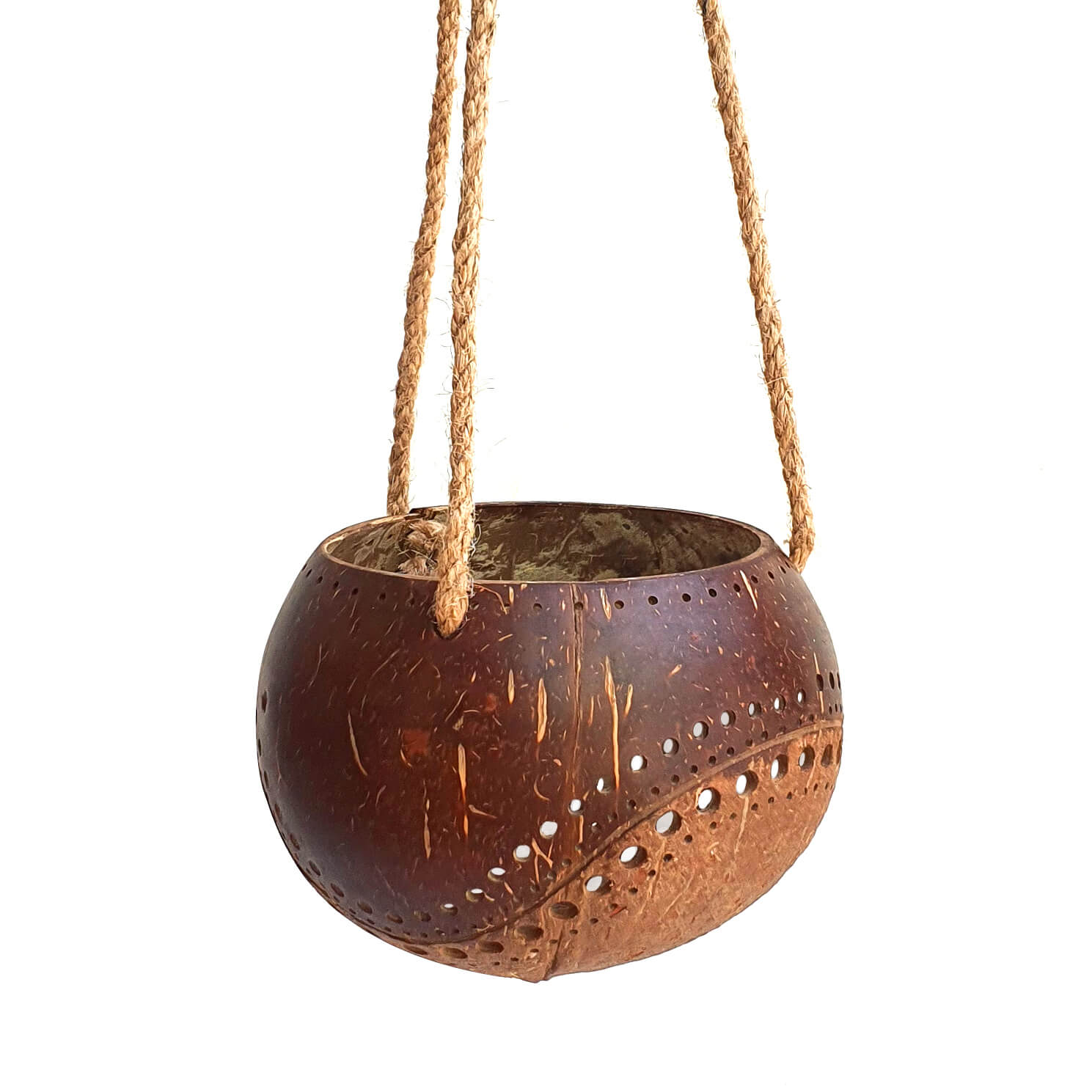 Hanging Two-Toned Coconut Planter