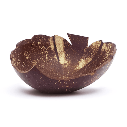 Leaf Coconut Bowl