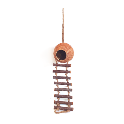 Coconut Birdhouse with Ladder