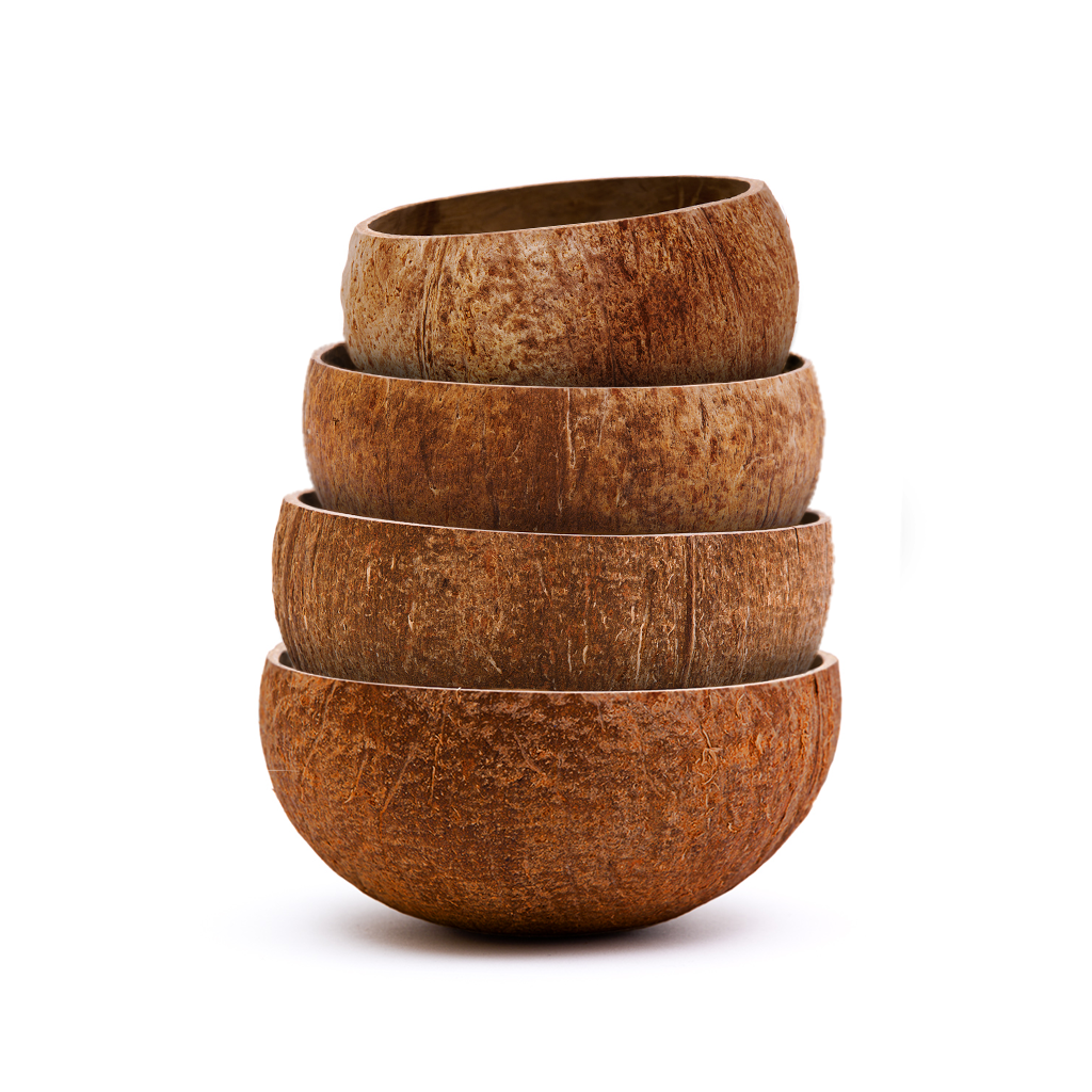 Raw Coconut Bowl Variety Pack